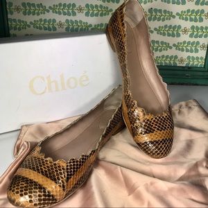 CHLOE WAVY SNAKE BALLERINA FLATS.
